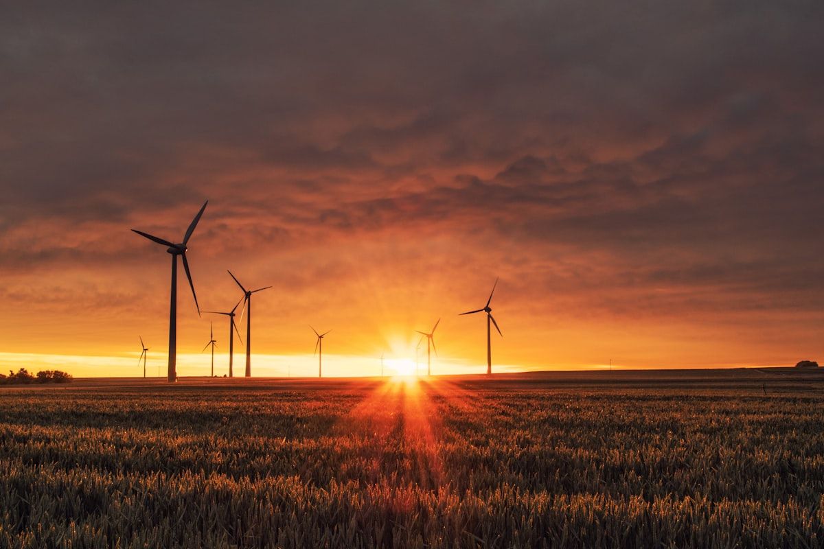 Wind turbines in a renewable energy farm at sunset